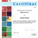 certifikat_08